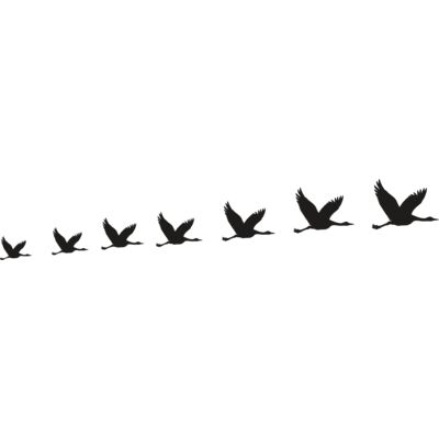 Ducks Flying Row Thumbnail