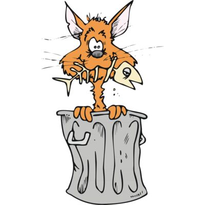 Cat in rubbish bin Thumbnail