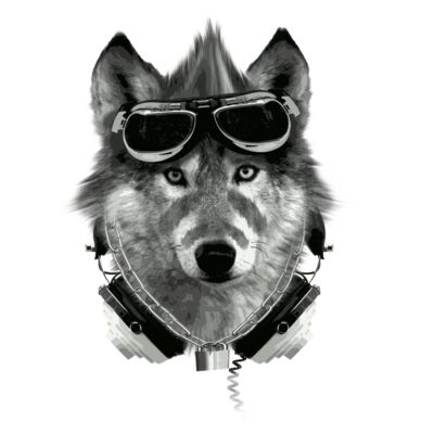 new wolf with white back Thumbnail