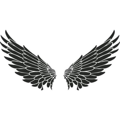 Black wings Thumbnail