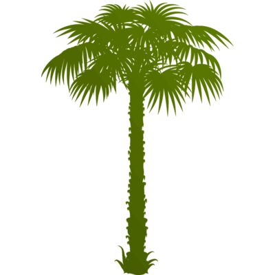 Palm tree 1 Thumbnail