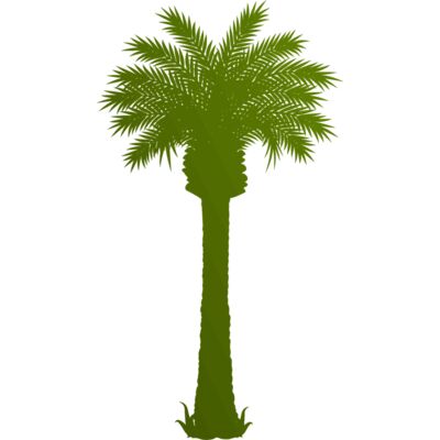 Palm tree 3 Thumbnail