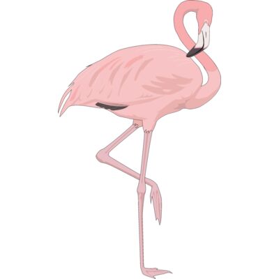 Pink flamingo Thumbnail