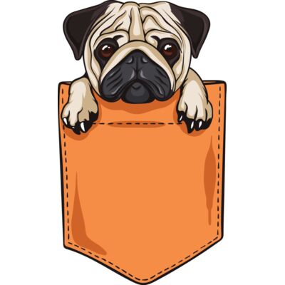 Pug pocket Thumbnail