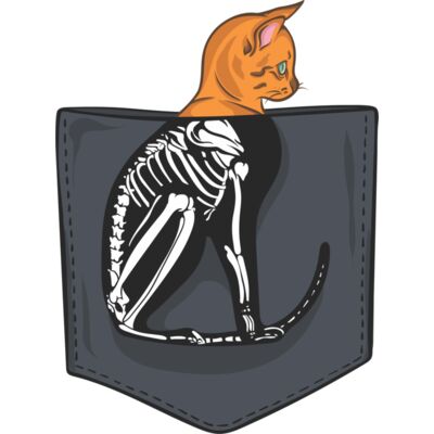 Cat skeleton pocket Thumbnail