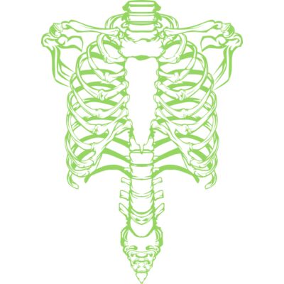 SpinalTap Skeleton Thumbnail