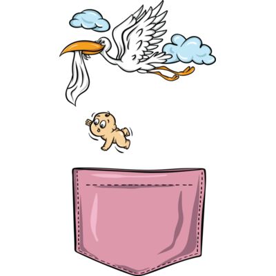 Stork Baby Pocket Thumbnail